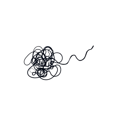 Logo Dott.ssa Chiara Di Gennaro